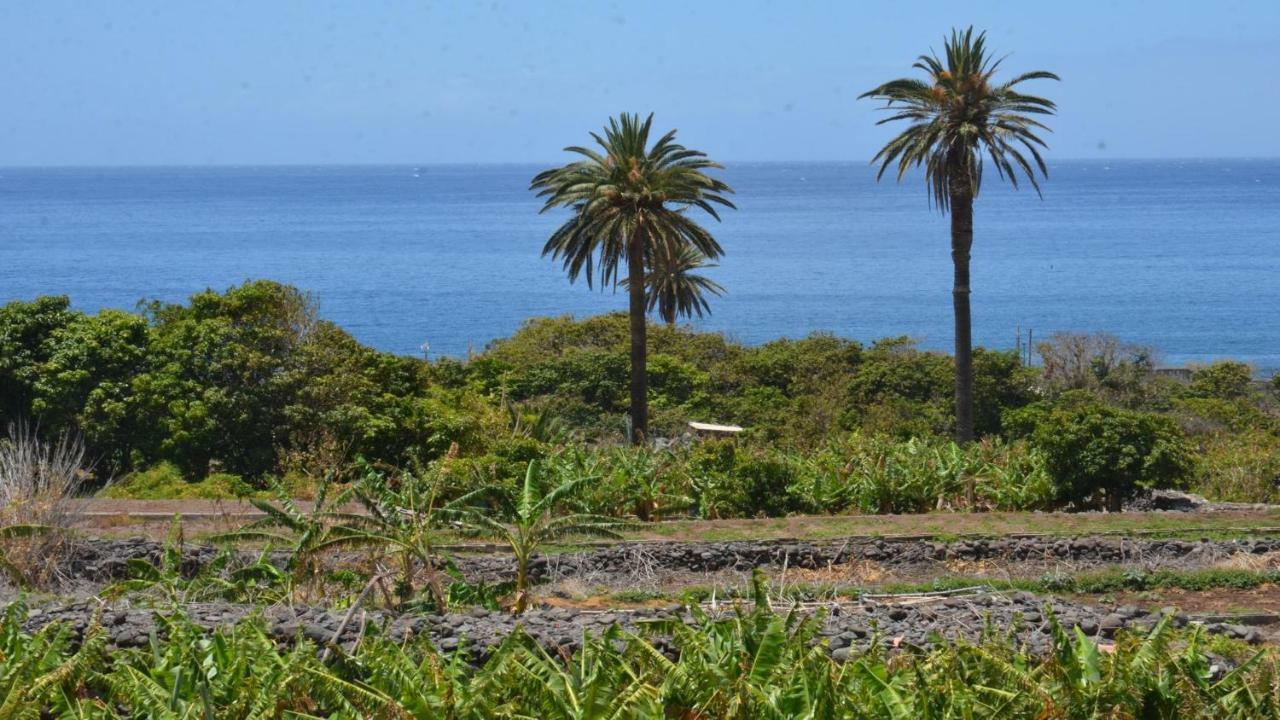 Apt. Heliconia Nº 4 فايي غران ري المظهر الخارجي الصورة